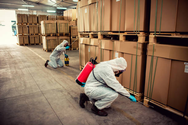 Professional Pest Control in Keansburg, NJ