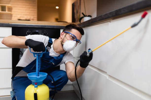 Best Insect Control  in Keansburg, NJ