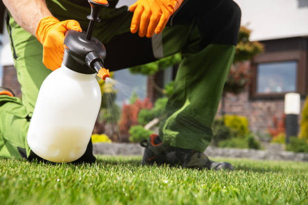 Best Spider Control Near Me  in Keansburg, NJ
