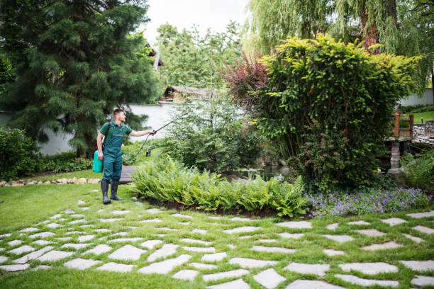 Best Commercial Pest Control Services  in Keansburg, NJ