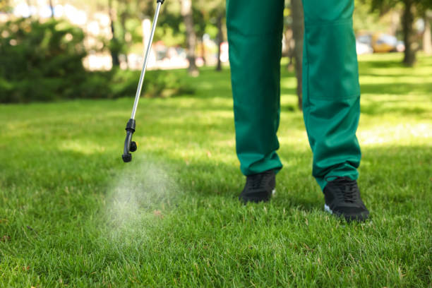 Best Affordable Pest Control Services  in Keansburg, NJ