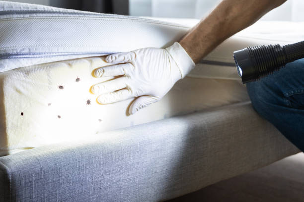 Best Best Pest Control Companies  in Keansburg, NJ