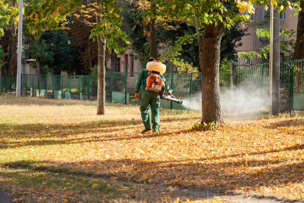 Best Pest Inspection Near Me  in Keansburg, NJ