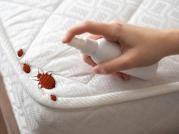 Best Pest Control Cost  in Keansburg, NJ